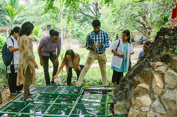 Subin Jang (fourth from left) works with other St. John’s Medical College students and SPH student Patrick Williams (third from left) to catch fish using mosquito larva. “Dengue fever is mosquito borne and a big problem in India, so we were looking at how fish eat the larva to manage the population,” says Jang. 