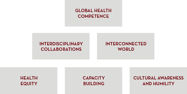 Global Health Work Group Principles