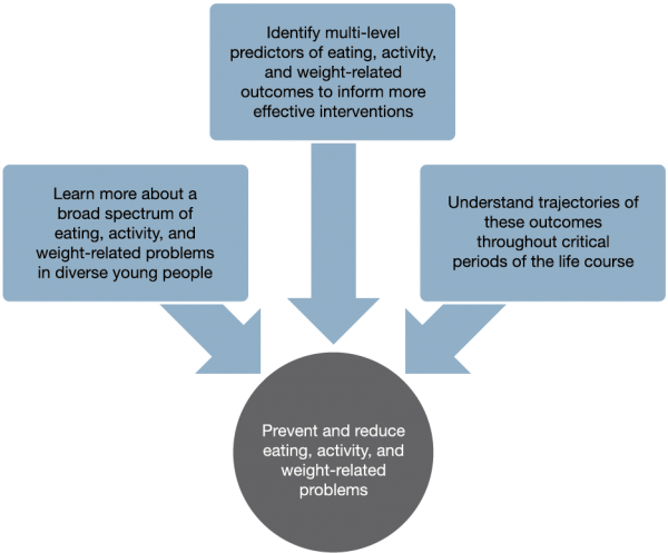 about-diagram diagram describing study